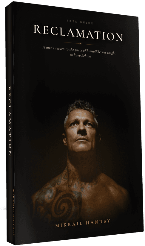 The Reclamation ebook, shown as a printed cover